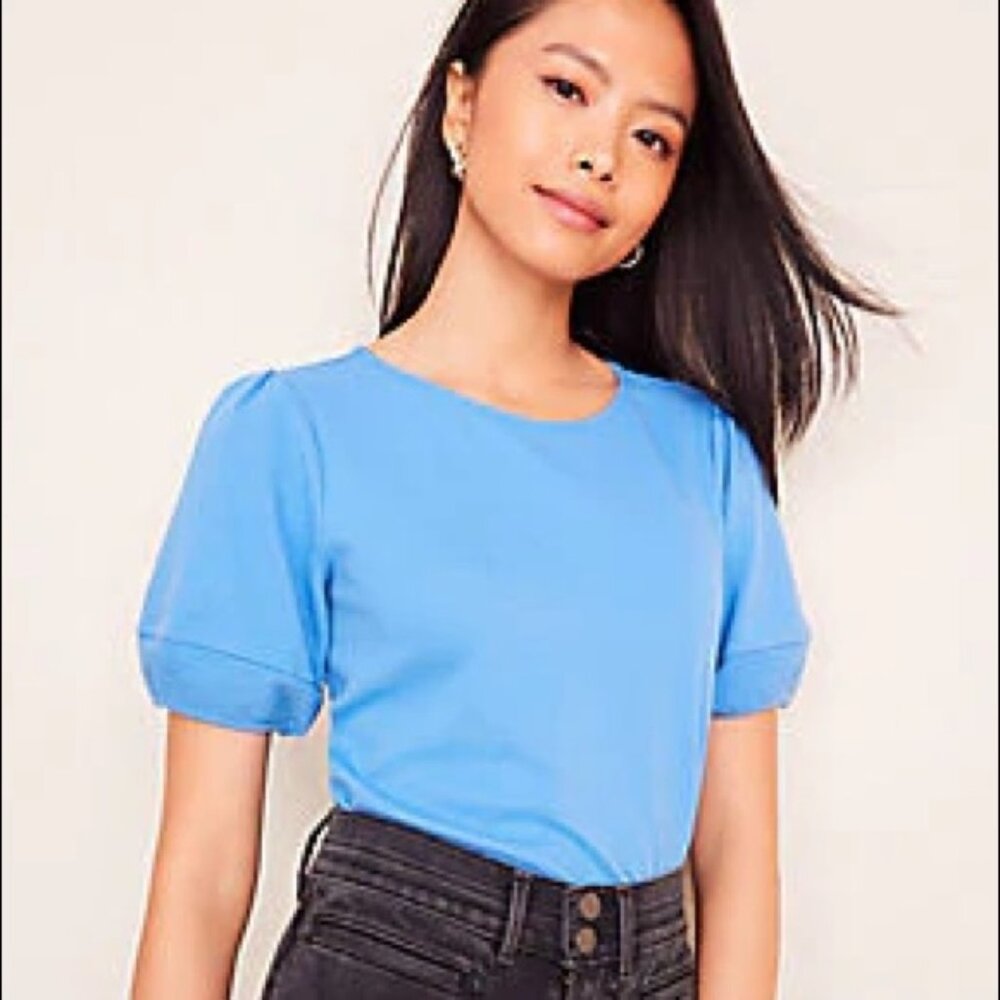 NWT 🌹 Ann Taylor Ottoman Puff Sleeve Top XS